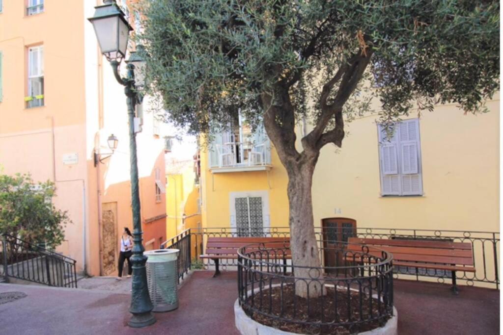 Charming Apartment Near The Beach Villefranche-sur-Mer Kültér fotó